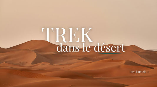 Trek dans le désert : un voyage d'exception