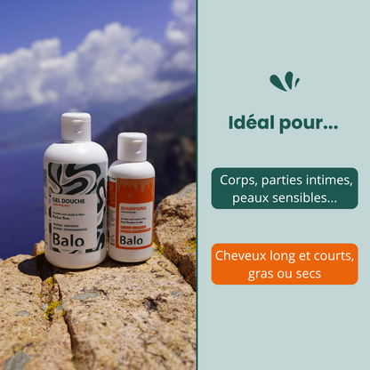 Pack découverte Van
