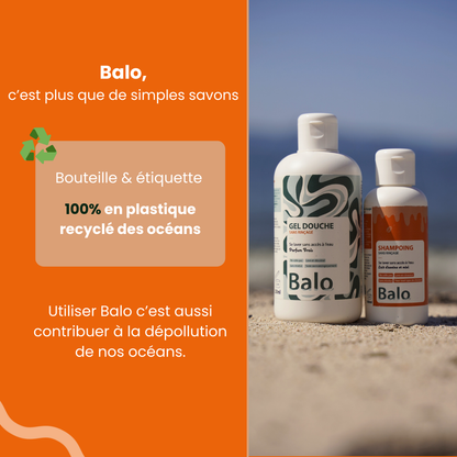 Pack découverte Van