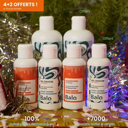 Pack fin d'année (4+2 OFFERTS)